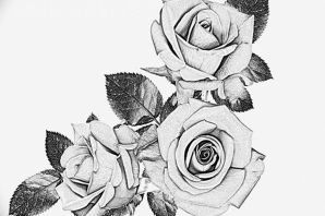 Рисунок для срисовки букет роз