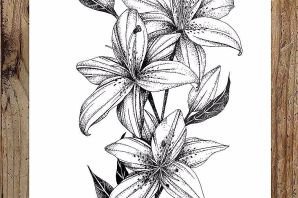 Рисунок карандашом цветок