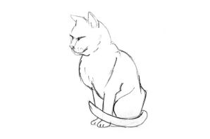 Сидячий кот рисунок
