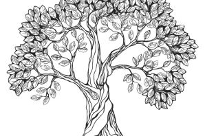 Родословное дерево раскраска