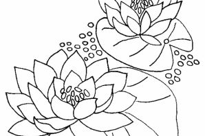 Раскраска лотос цветок