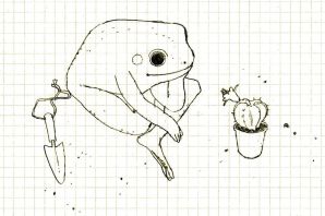 Рисунки лягушек для срисовки