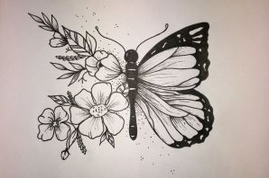 Бабочки рисунки карандашом