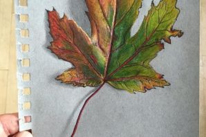 Кленовый лист рисунок цветной