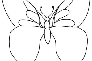 Бабочки рисунок карандашом для срисовки