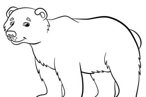 Медведь раскраска для малышей