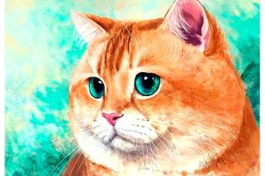 Рыжая кошка рисунок