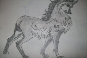 Нарисованный волк карандашом