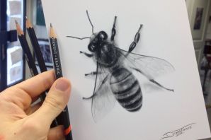 Пчела рисунок реалистичный