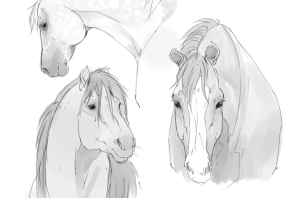 Морда лошади рисунок карандашом