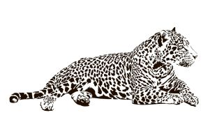 Леопард на дереве рисунок