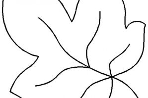 Листья тыквы рисунок