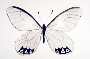 Рисунок бабочки легкий карандашом