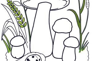 Раскраска грибная поляна