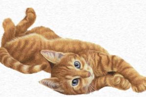 Лежащая кошка рисунок