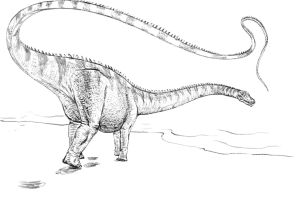 Динозавр диплодок раскраска