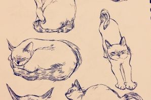 Рисунок кошки карандашом морда