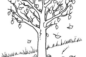 Осеннее дерево рисунок карандашом