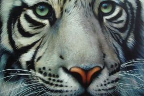 Нарисованный тигр