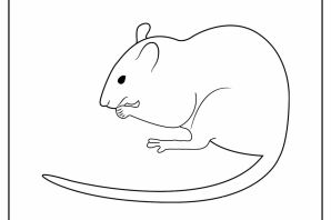Мышка в норке раскраска