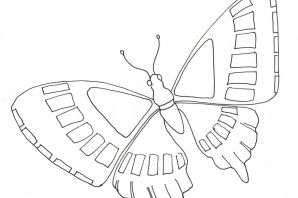 Бабочка крапивница раскраска