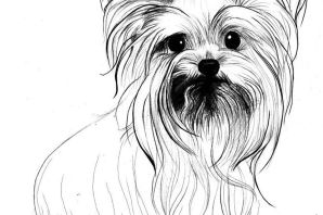 Рисунки для срисовки легкие собаки