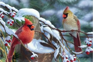 Рисунок зимовка птиц