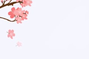 Сакура цветы рисунок