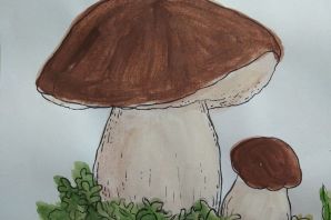 Белый гриб рисунок для детей