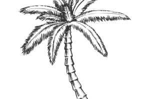 Иллюстрация к произведению три пальмы