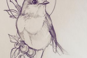 Рисунок птички карандашом
