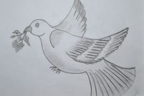 Рисунок голубя пошагово