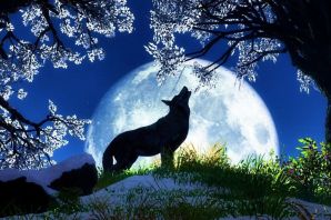Рисунок волк воет на луну