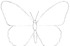 Несложный рисунок бабочки