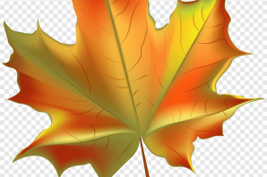 Осенний листочек рисунок