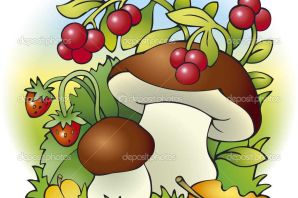 Рисунок грибы и ягоды
