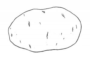 Разукрашка картошка