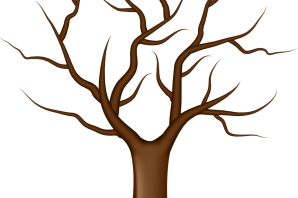 Рисунок дерево без листьев на белом фоне