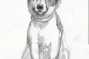 Муму собака рисунок