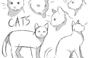 Кот для рисования