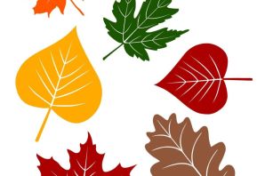 Осенний лист трафарет цветной