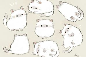 Котики для рисования