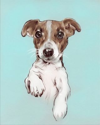 Песик рисунок