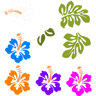 Гавайские цветы рисунок