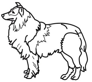 Раскраска алабай