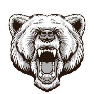 Медведь векторный рисунок