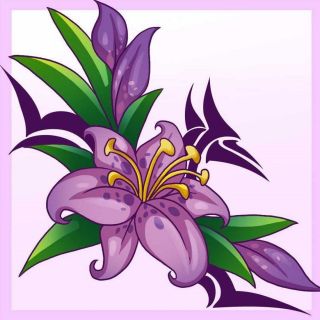 Цветы лилии рисунок