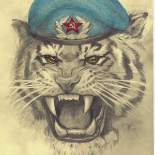 Рисунки вдв