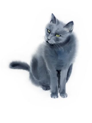 Серый кот рисунок