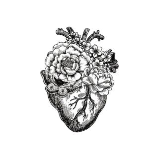 Сердце красивое эскиз